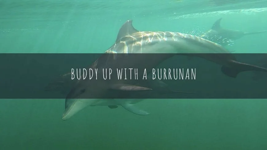 Is your mum an animal lover? An ocean admirer? An environmental enthusiast? This Mother&rsquo;s Day, we think the best gift you can give your mum is something with a little bit of a twist to show her just how much you care!

Why not adopt one of our 