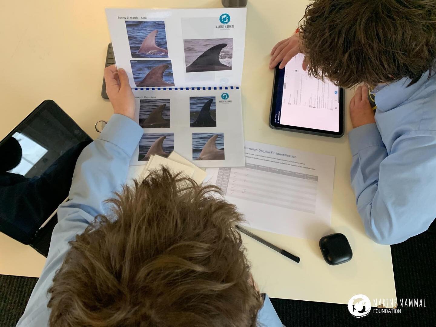It has been another great week with the Year 9 Students at @albertparkcollege! 
As a part of their fantastic Environmental Science program, the Year 9 students continued their exploration of the Port Phillip Bay Burrunan dolphin in our Populations pr