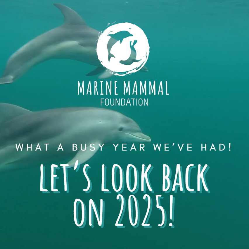 That’s a wrap for 2025!