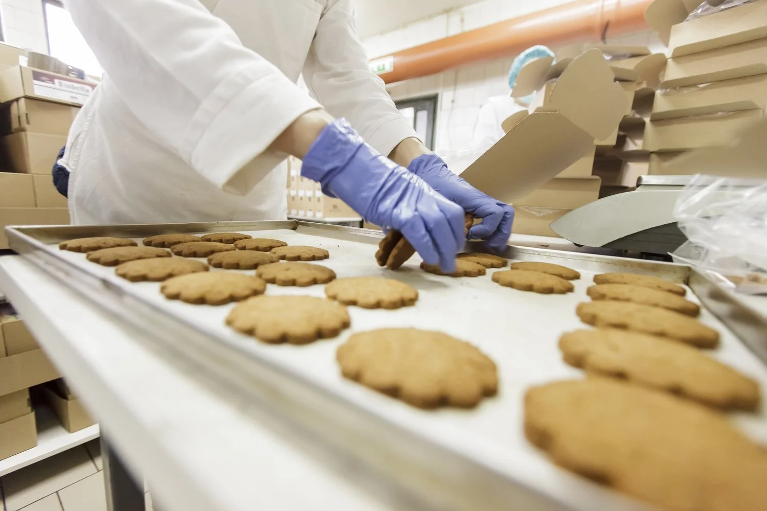 food-hygiene-safety-online-training-course-atf-solutions.jpg