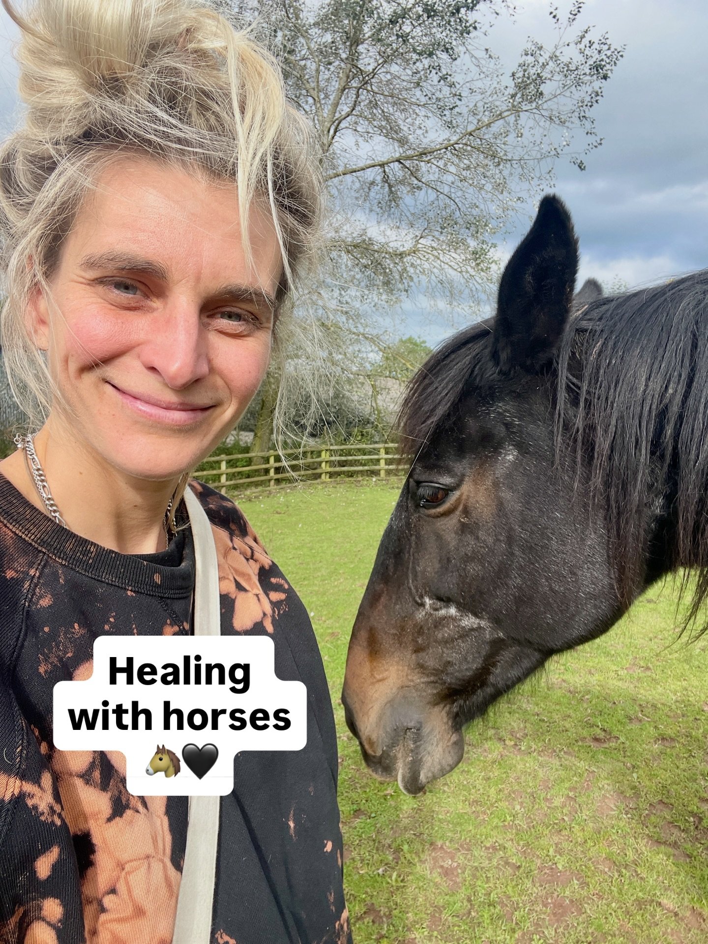 In 2024 I got myself some horse healing and it was incredible.

I had a one on one with Ruth and one of her a majestic horses called Floss, I was in the grips of my grief, holding a lot for people and Floss held me, like really held me, she rolled ar