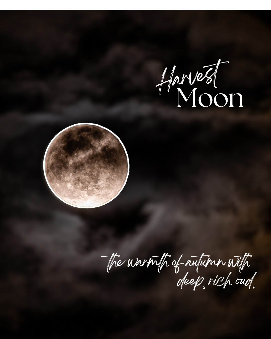 Harvest Moon - Amber Jar Candle