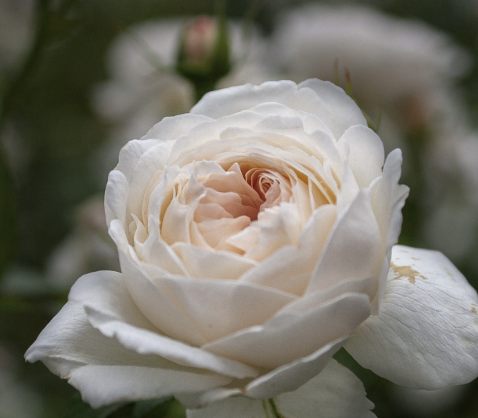 Screenshot 2026-04-16 at 13.44.01.png