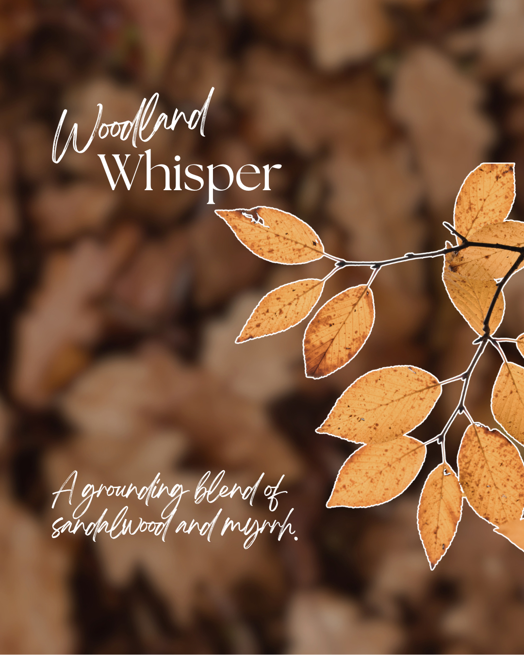 Woodland Whisper - Amber Jar Candle