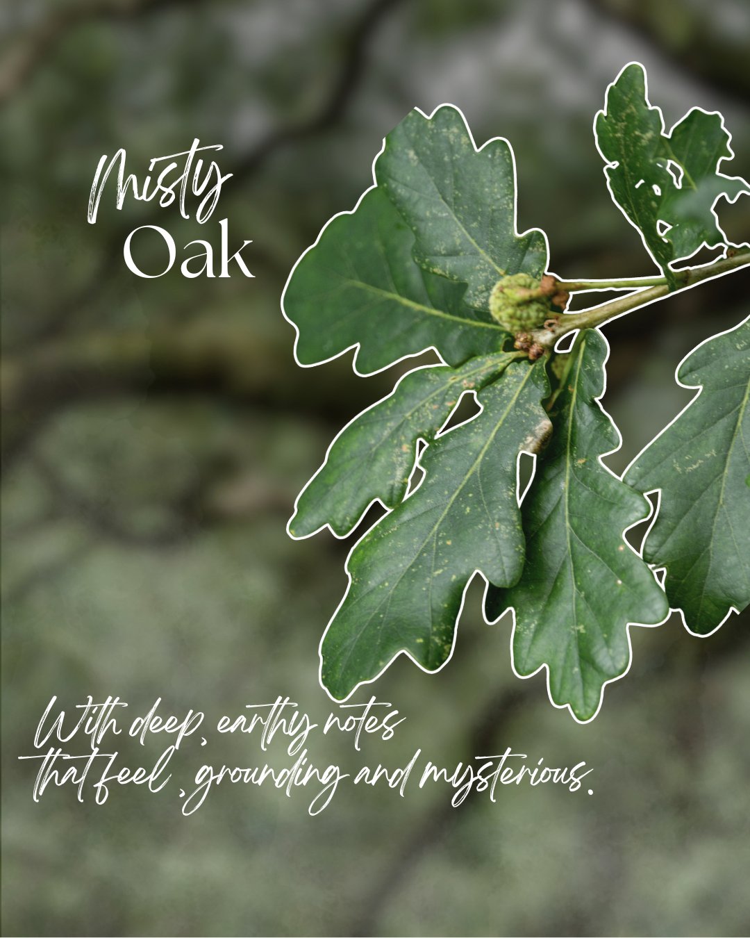 Misty Oak - Amber Jar Candle