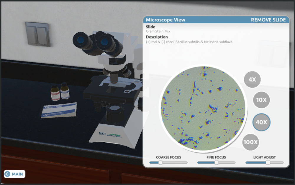 Microscopy Gaming Microscopes — Superbugs - The microbial world in, on and around us