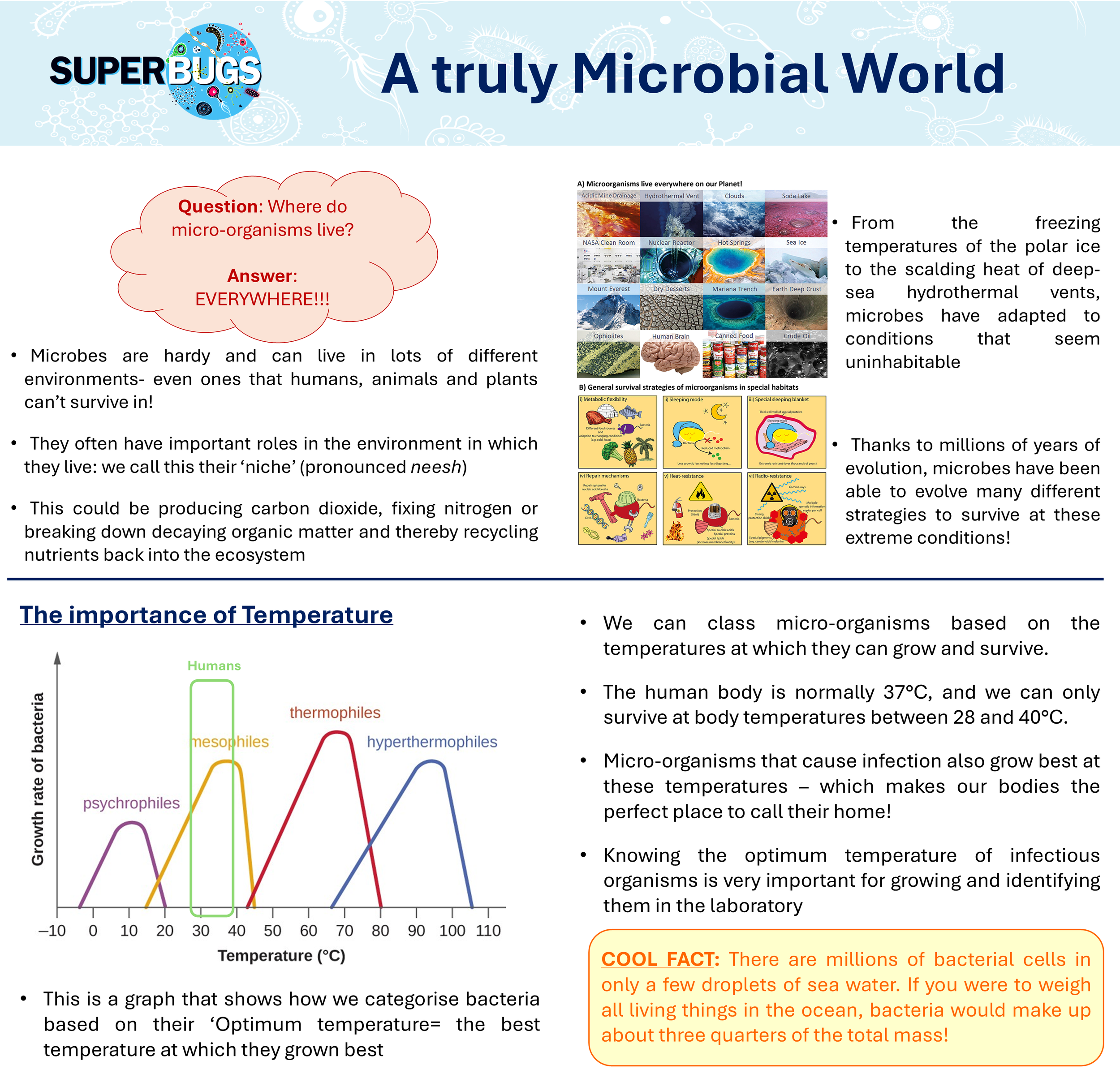 Pop-Up 2025 - Infoboards — Superbugs - The microbial world in, on and ...