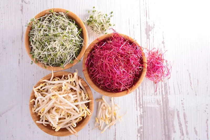 Bien manger… mais qu’est-ce que ça veut vraiment dire ?