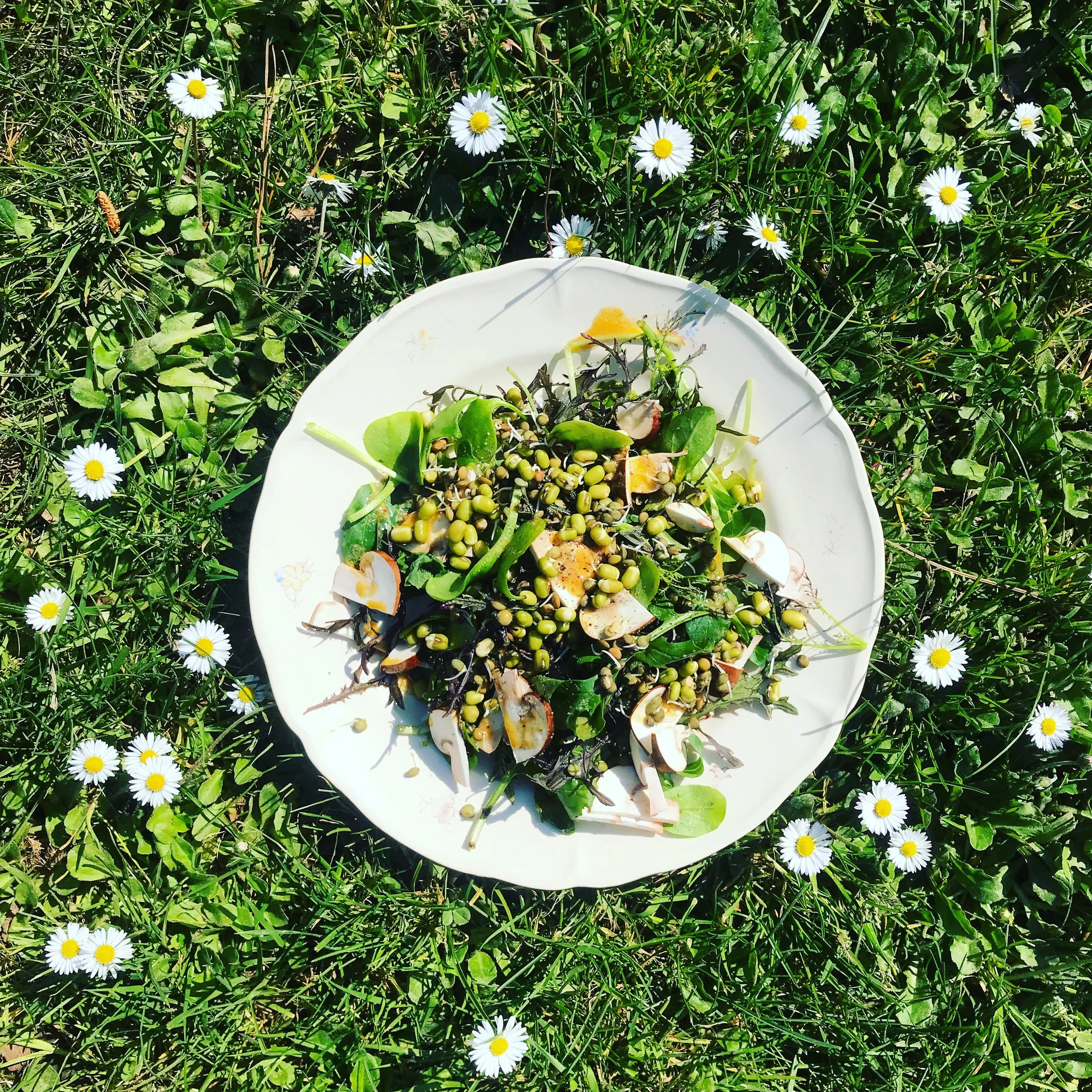 Atelier cuisine SALADES ET SOUPES CRUES ESTIVALES