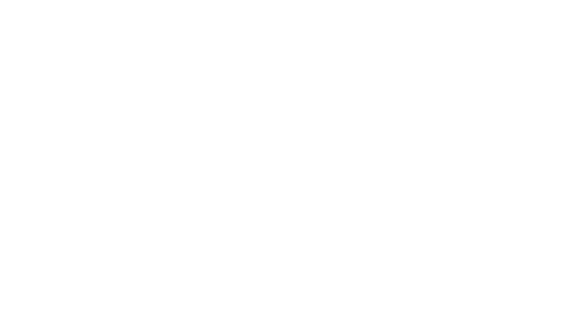 Bronte Group