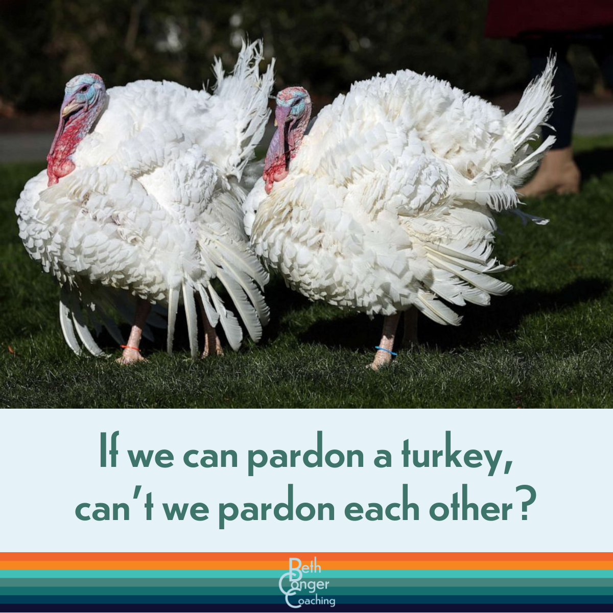 The grace of a pardon…