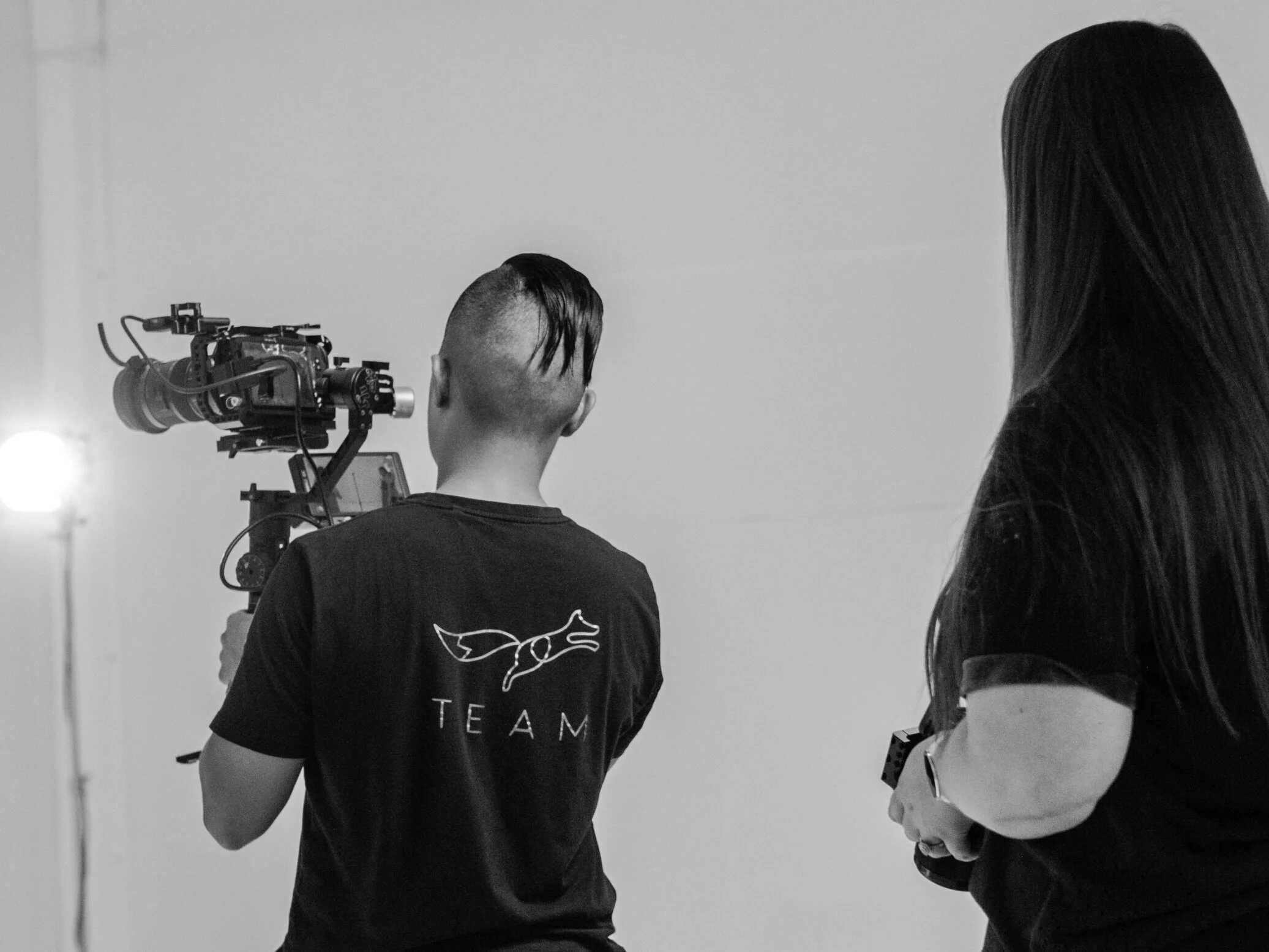 brown fox media house