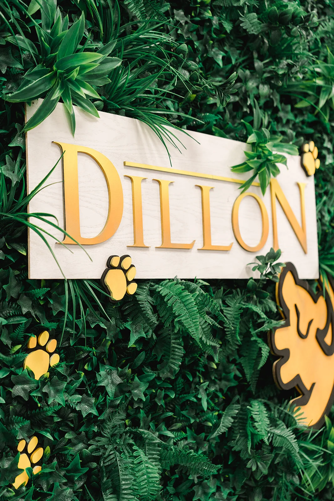 luck_love_photography_-_dc_wedding_photographer_-_dillon_s_first_birthday_party_-_ida_rose_events-18.jpg