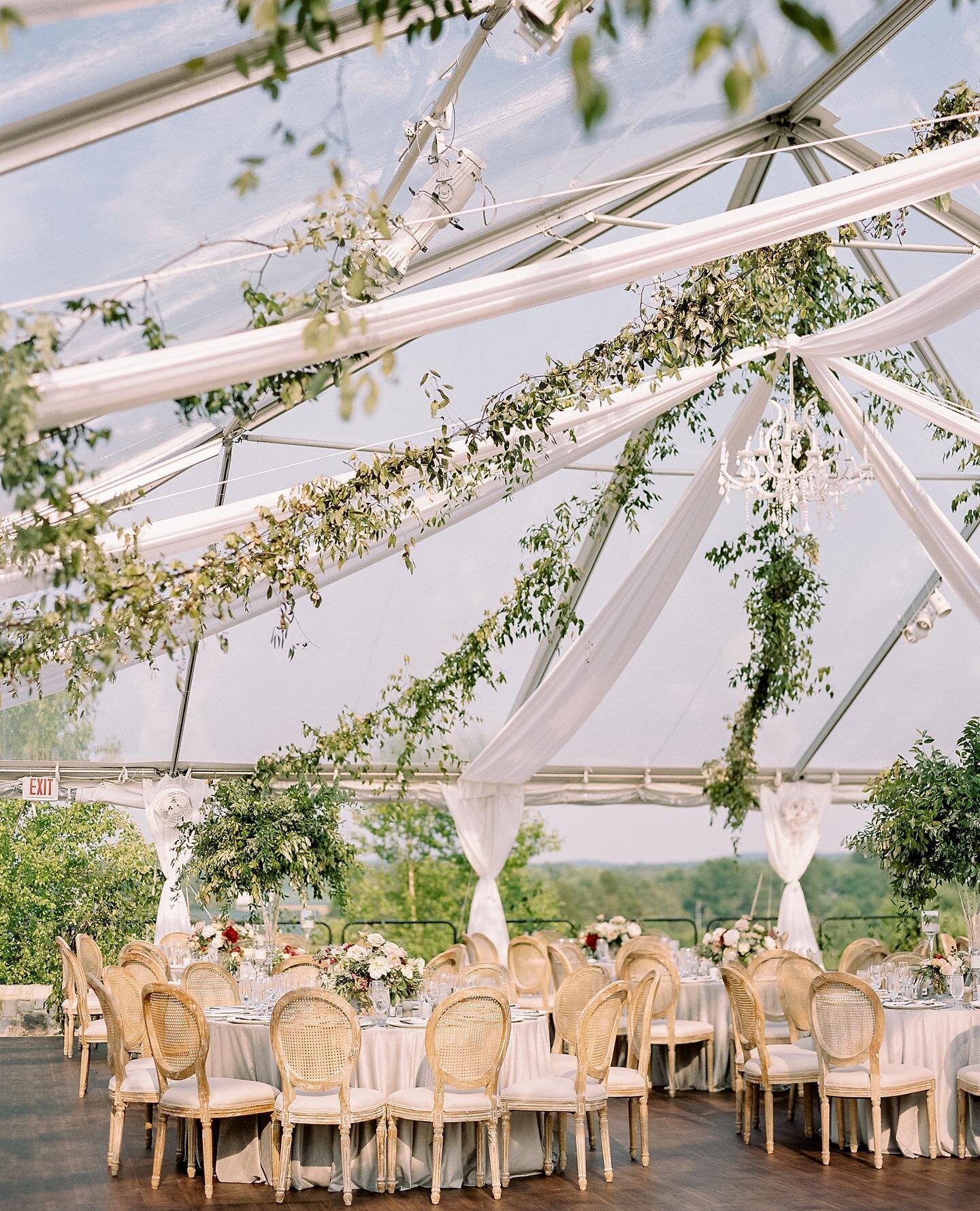 This combination of a clear top tent, white fabric swag, draped greenery and chandeliers will forever be a favorite- it&rsquo;s just timeless! 

Planning + Design @Idaroseevents  Venue, Catering and Cake: @salamanderresort  Photographer: @reneehphoto