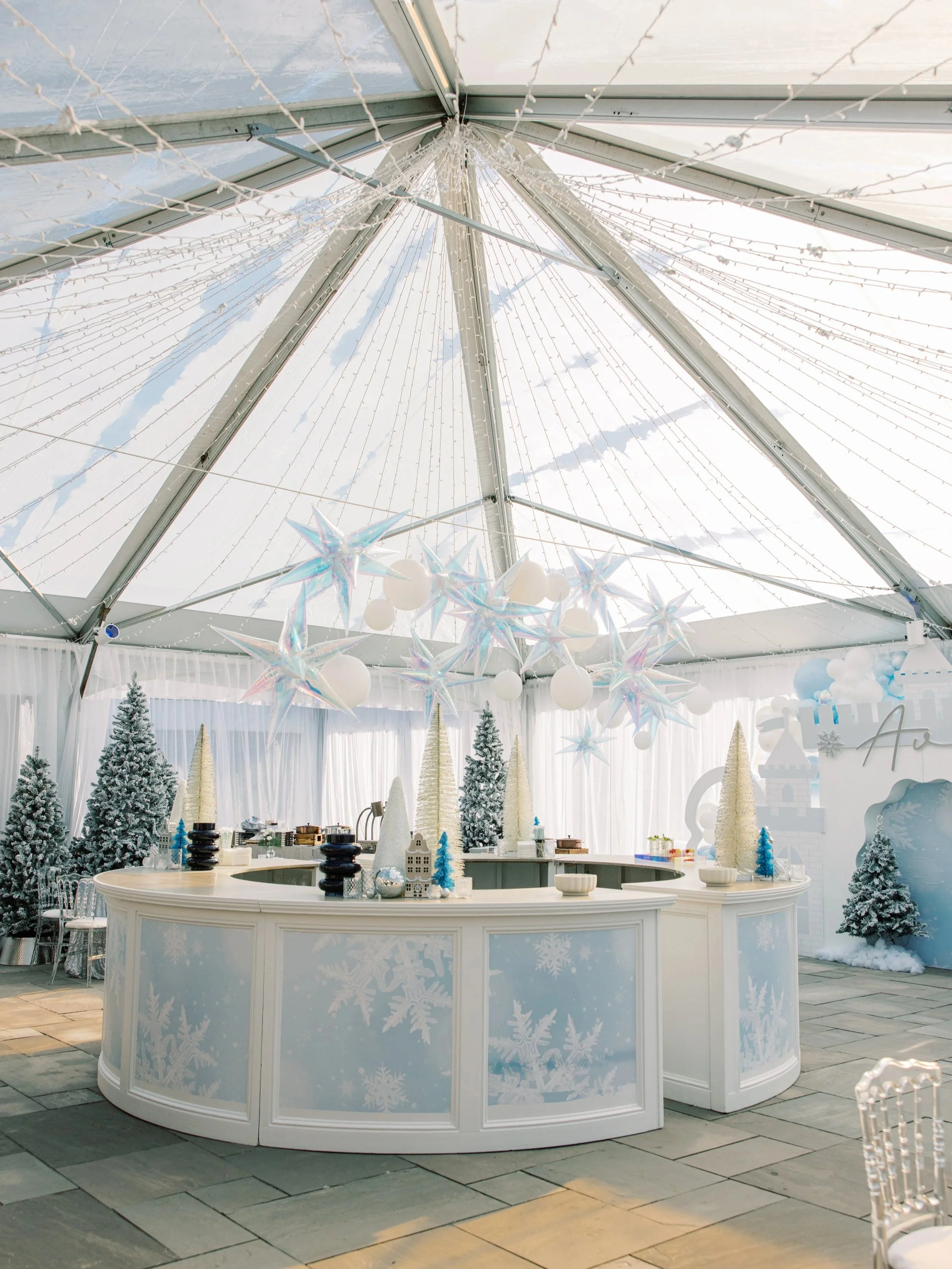 WINTER WONDERLAND PARTY