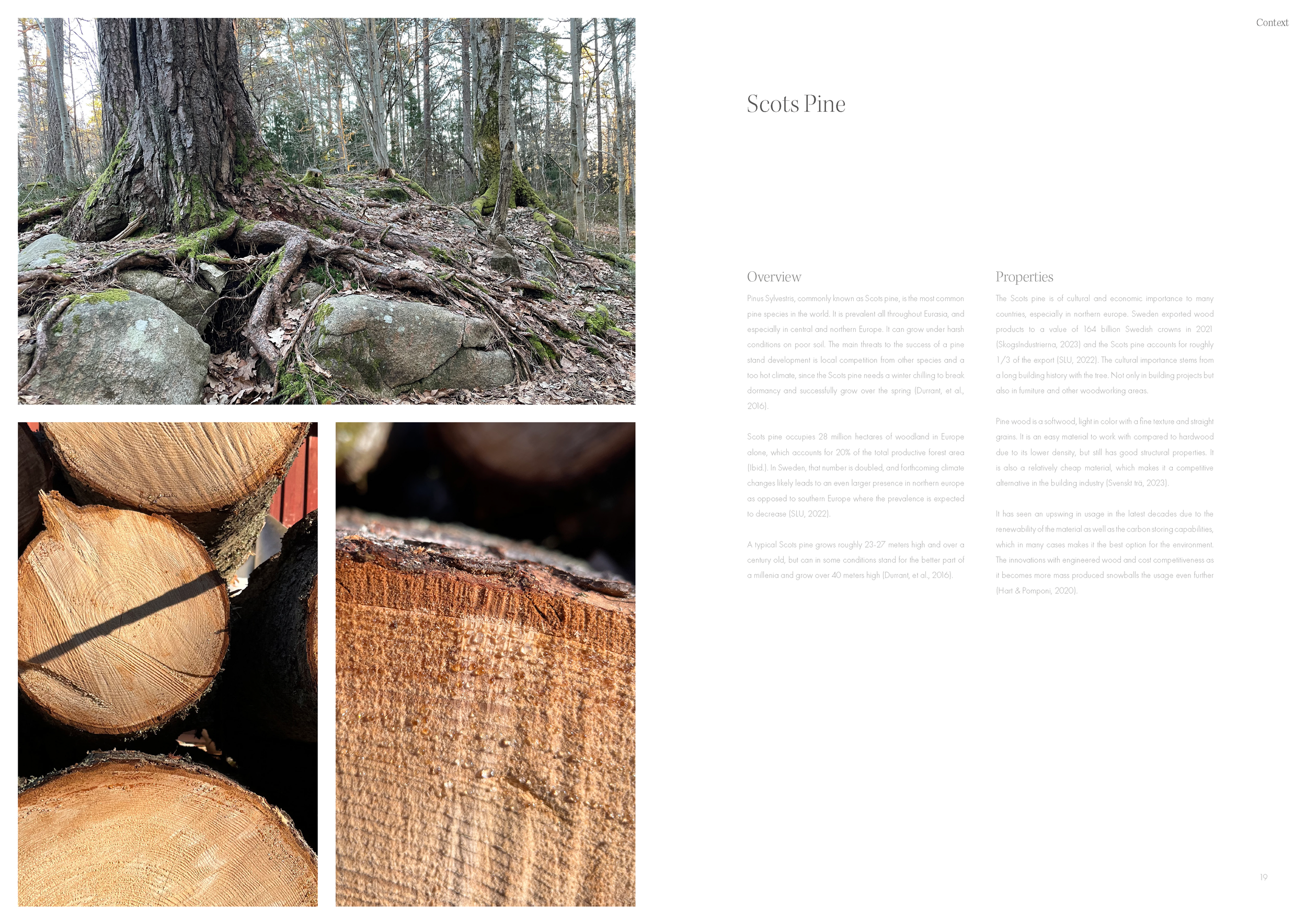 Westlin_Emil_Material Turn_MT 2023_Sida_10.png