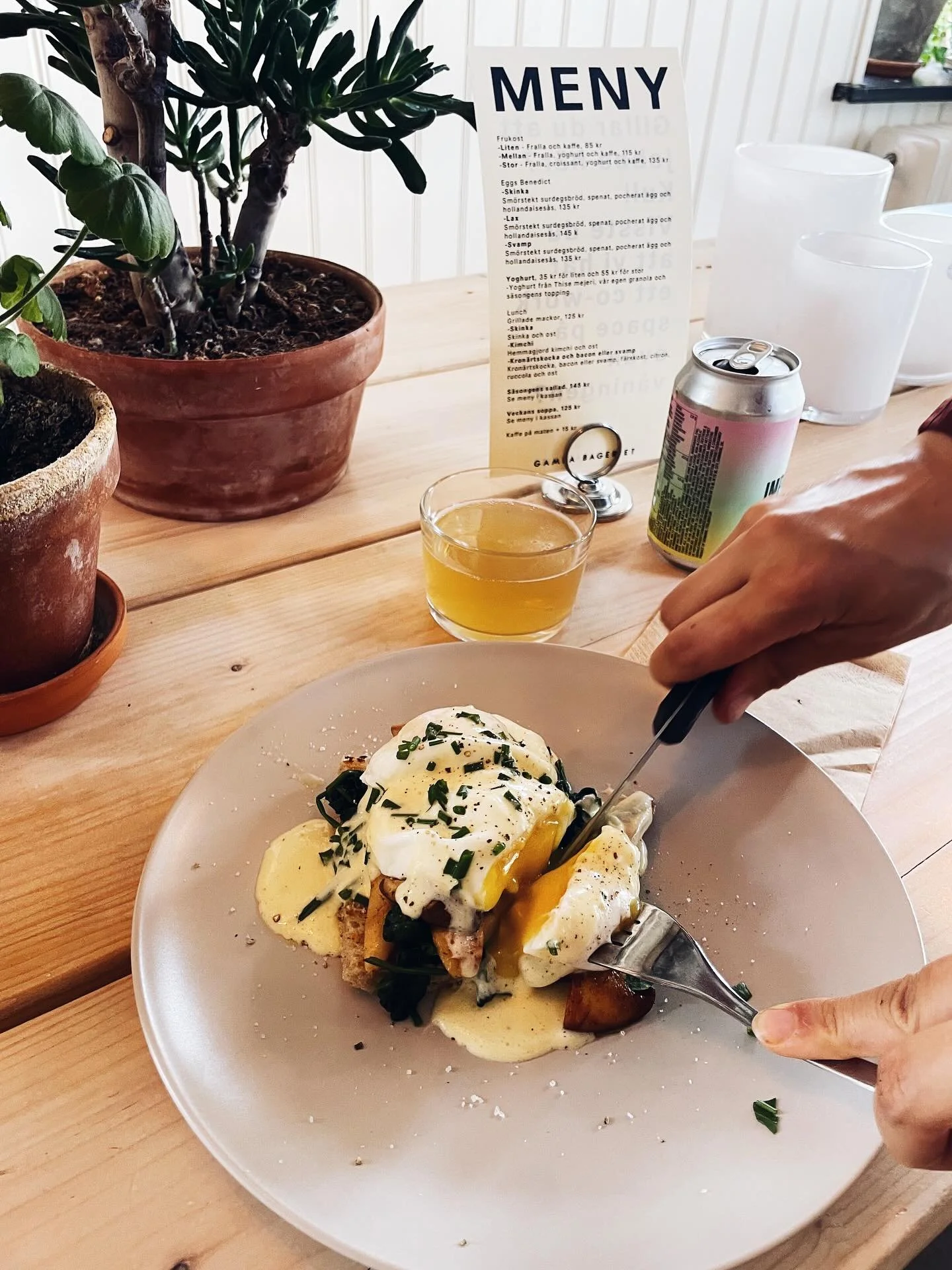 EGGS BENEDICT 💥

Imorgon fredag b&ouml;rjar vi med Eggs Benedict p&aring; menyn. 

Den serveras i tre olika varianter, skinka, lax och stekt svamp. Kommer med sm&ouml;rstekt surdegsbr&ouml;d, blancherad spenat, tv&aring; pocherade &auml;gg och holla