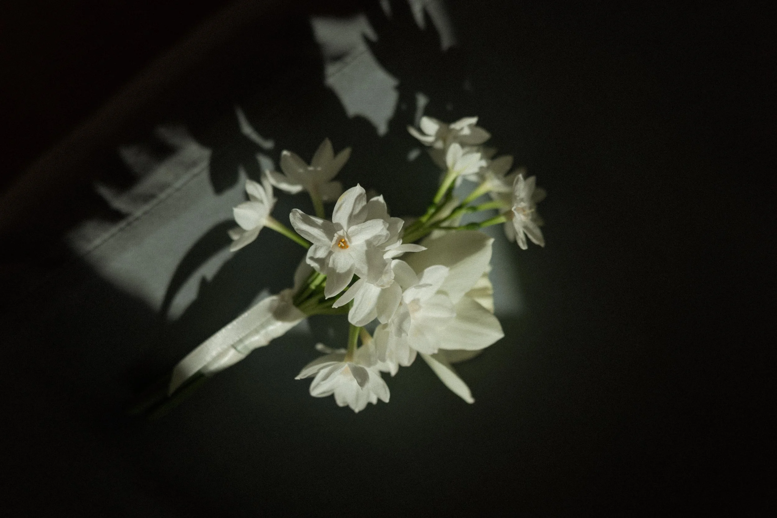 Why Limekiln is the best venue in East Sussex for weddings in Winter and early Spring