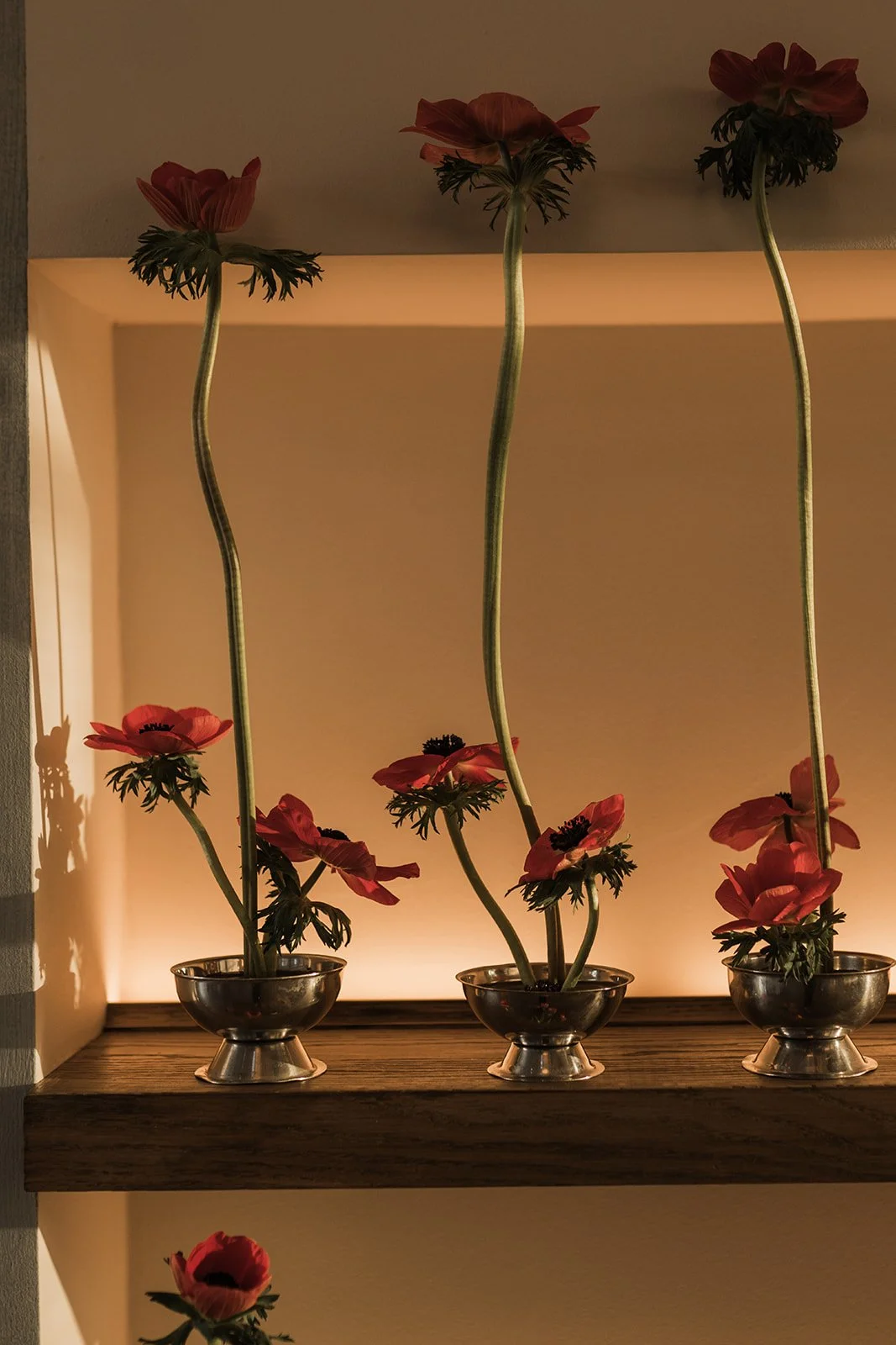 Red anemones for a simple event design