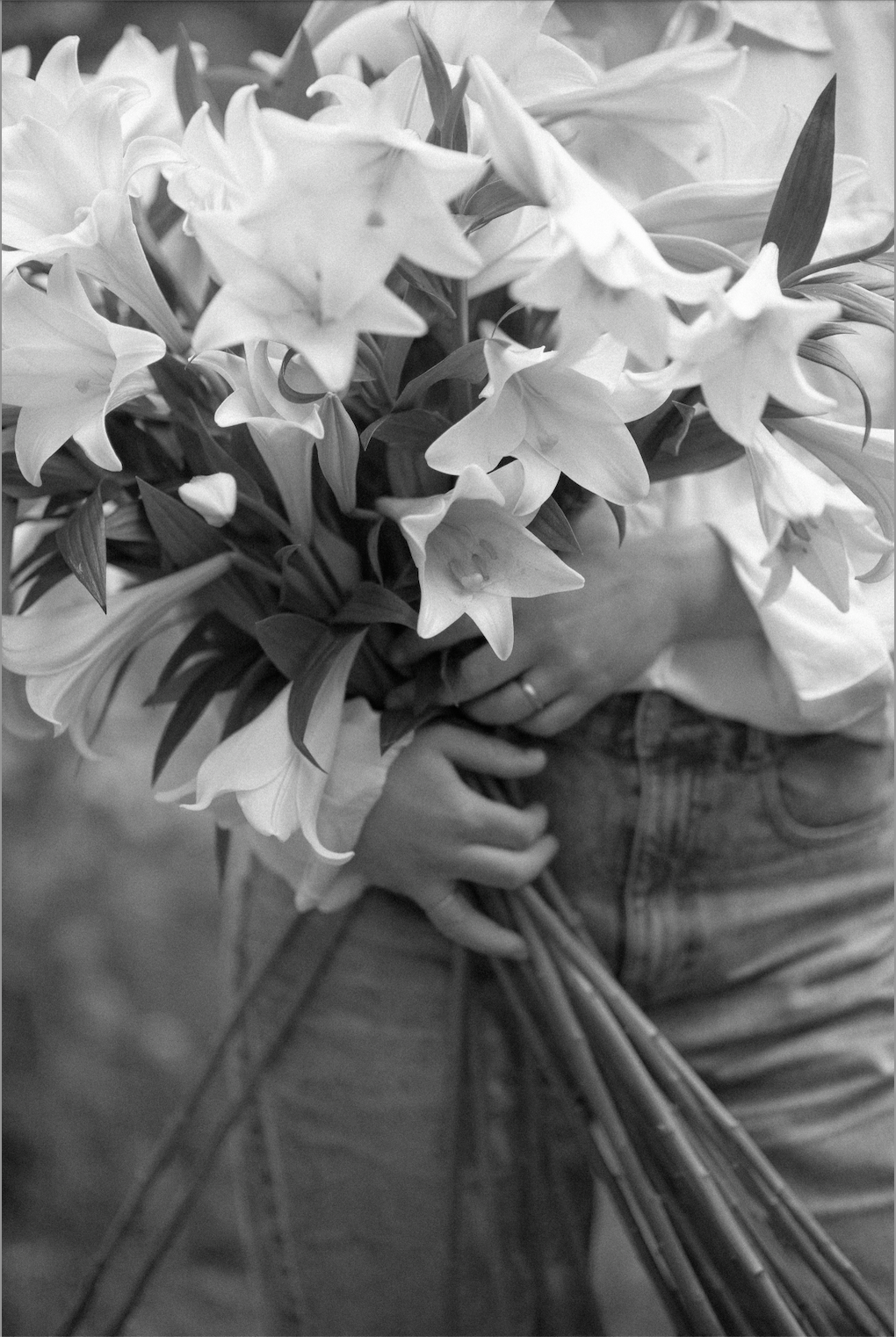 A close up of Rachel Grimes, florist and artist in the fields in East Sussex holding an armful of open lilies. Rachel is a floral artist and event creator, working with modern, creative and design focussed couples in London, East Sussex and UK.