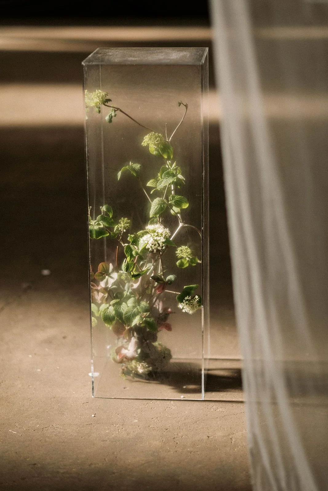 Unusual poseur table ideas caught in the sunlight, clear plinths with twisting winter flowers inside for guests to use at black tie event, London, early spring. Photo by Carr & Senteno