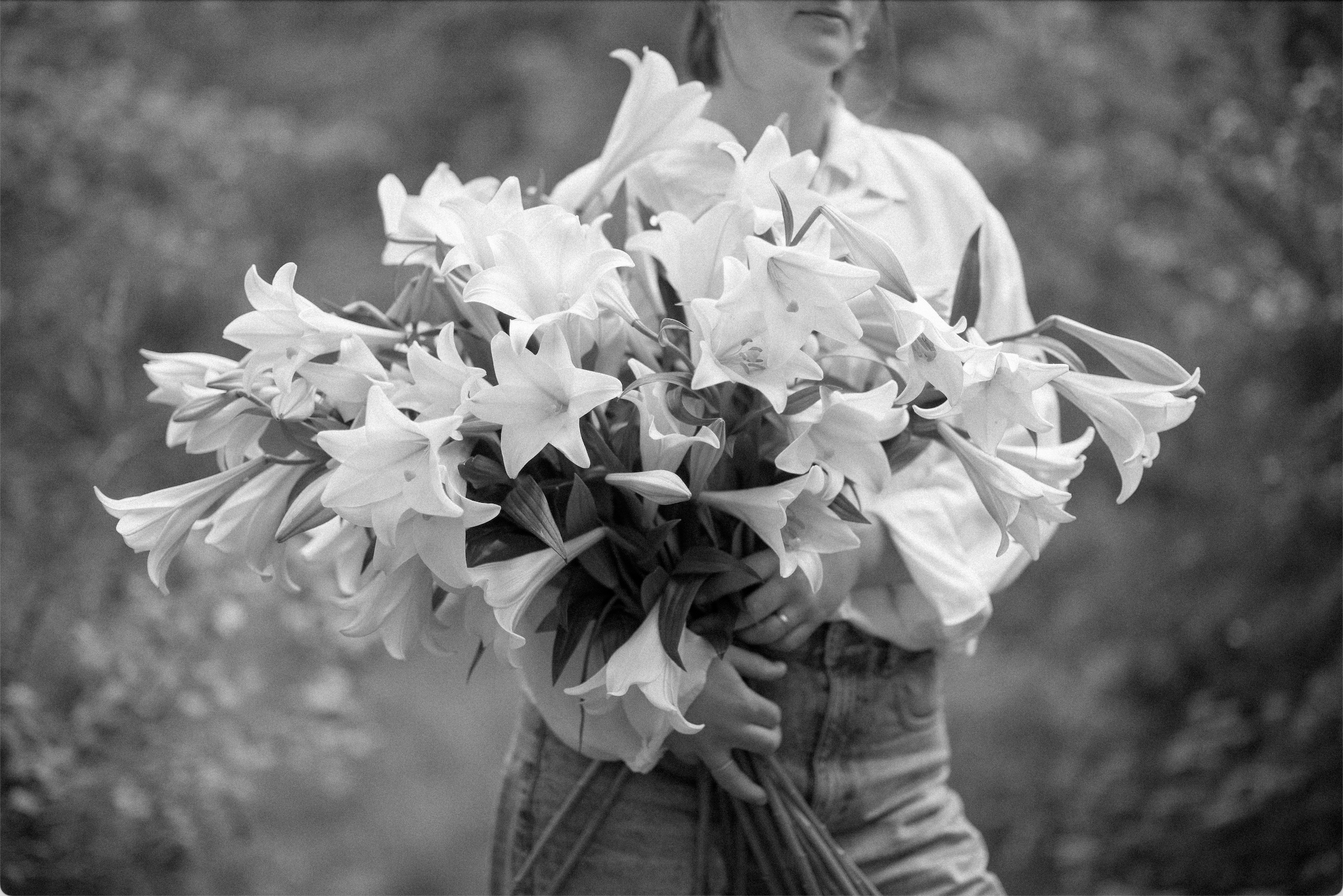 An abundance of lilies for a luxury summer event in East Sussex
