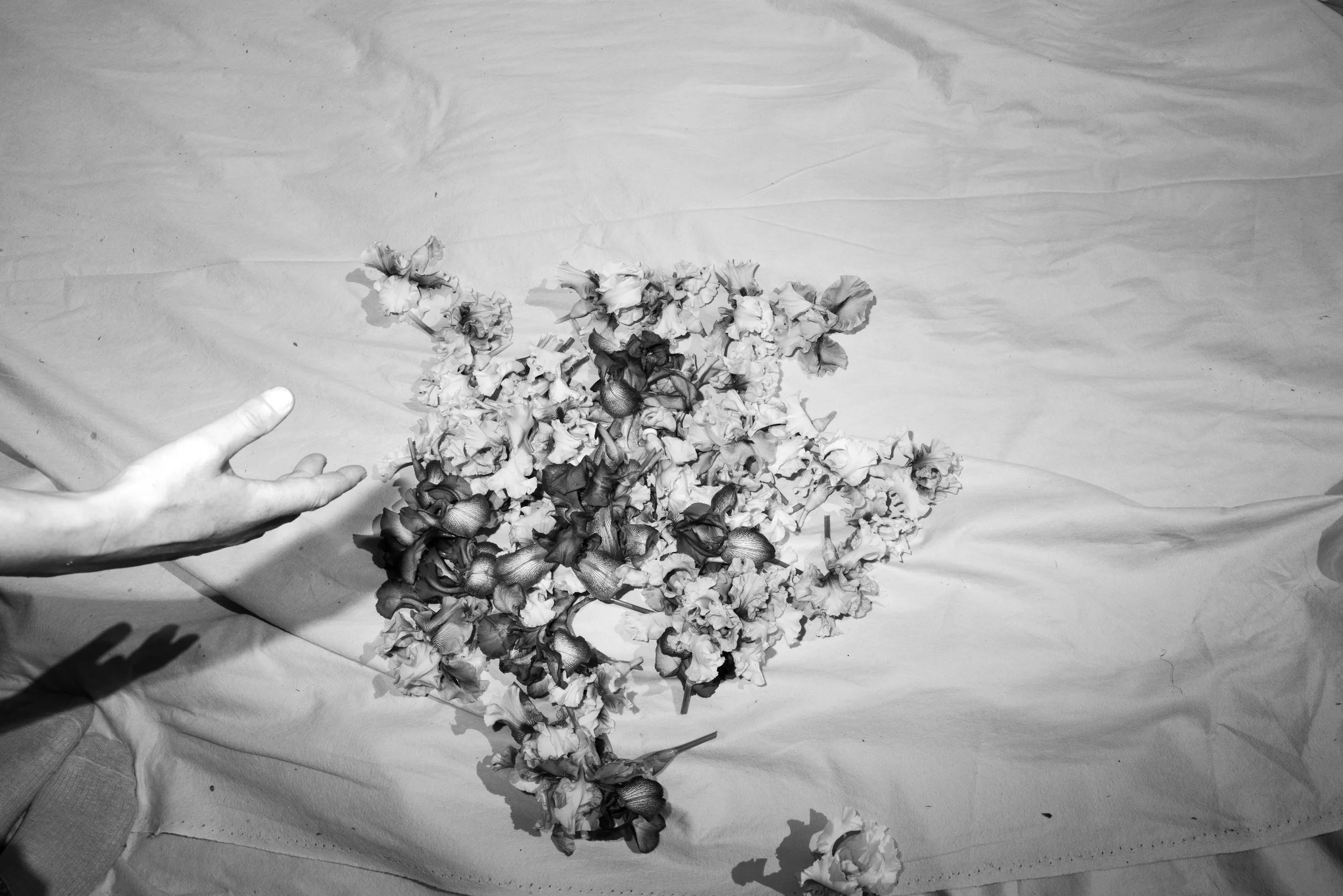 Joanna Brown photography summer editorial shoot Iris and fabric installation