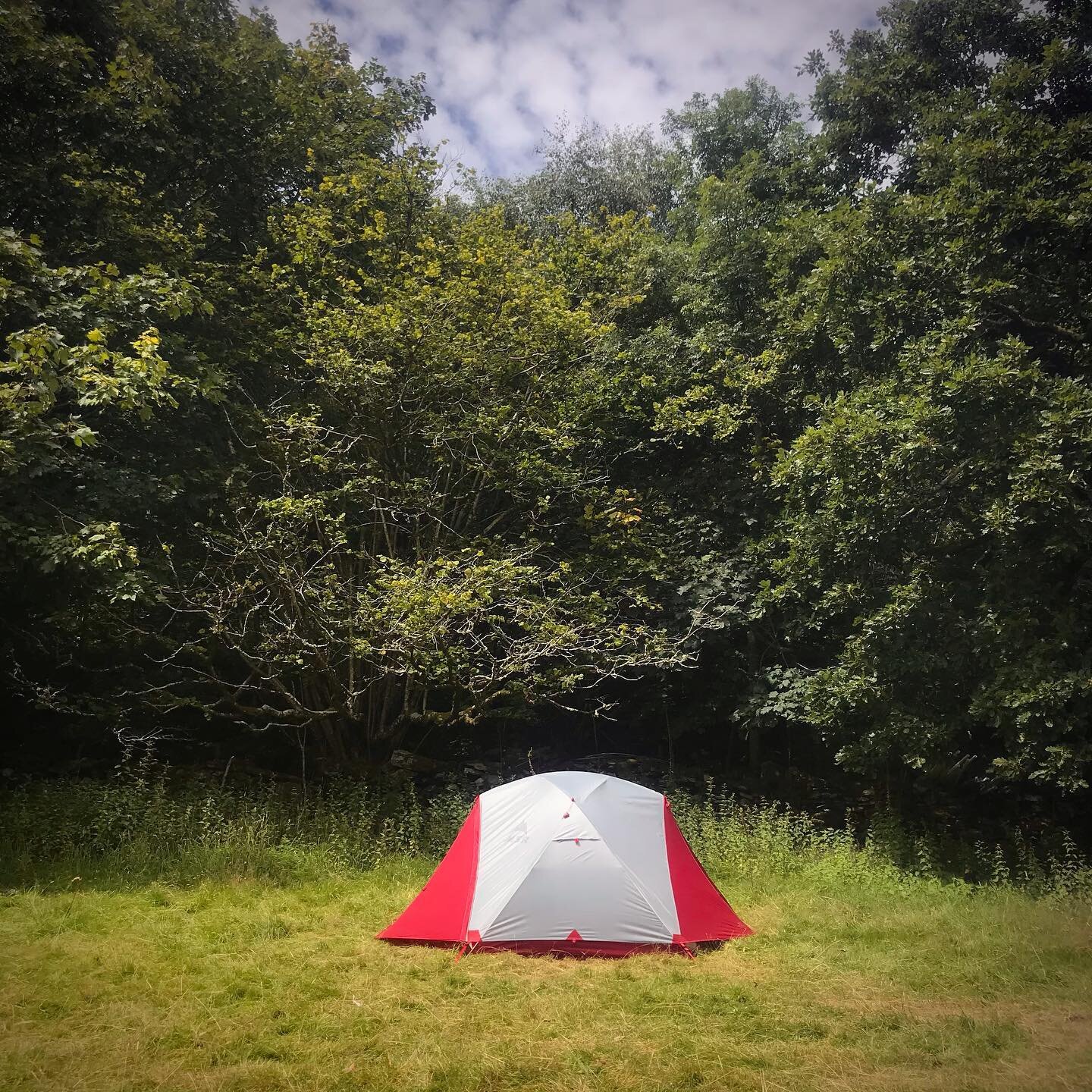 Tired of landscaped, artificial campsites with no space to breathe? 

Cefn coed offers woodland &amp; field pitches that take you back to how camping should truly be! 

Book your trip now! contact@cefncoed.co.uk