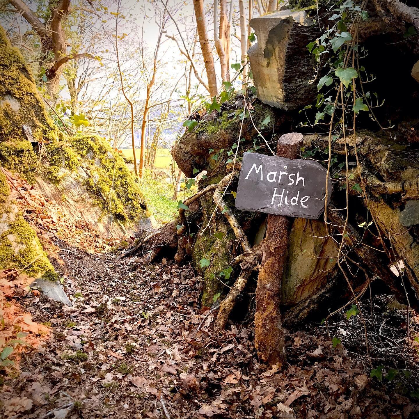 The entrance to one of our magical woodland pitches!

Cefn Coed offers immersive camping experiences in the heart of Snowdonia.