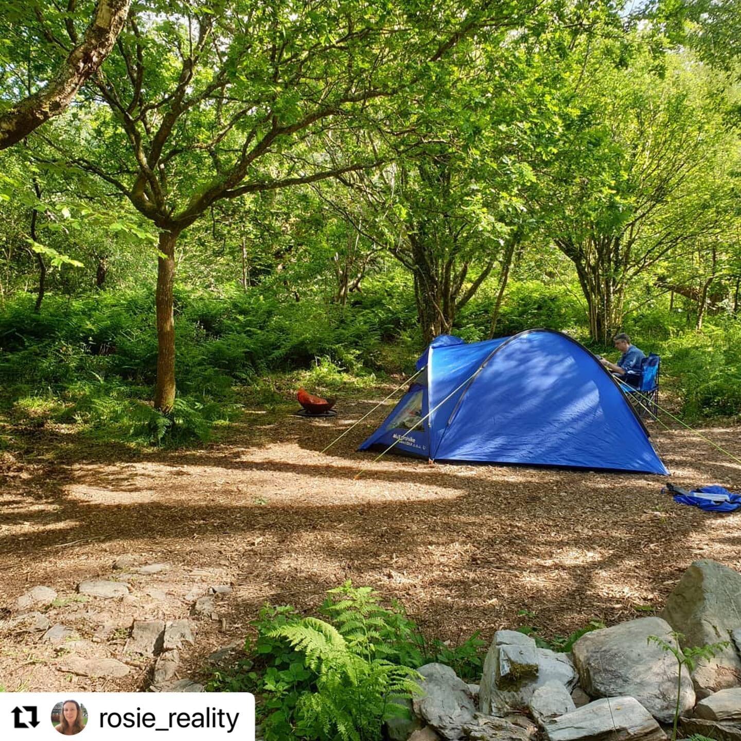 #repost from @rosie_reality whilst staying with us. 🏕 It was a pleasure to meet you both and glad you made some new friends!! 😂🐥🏕