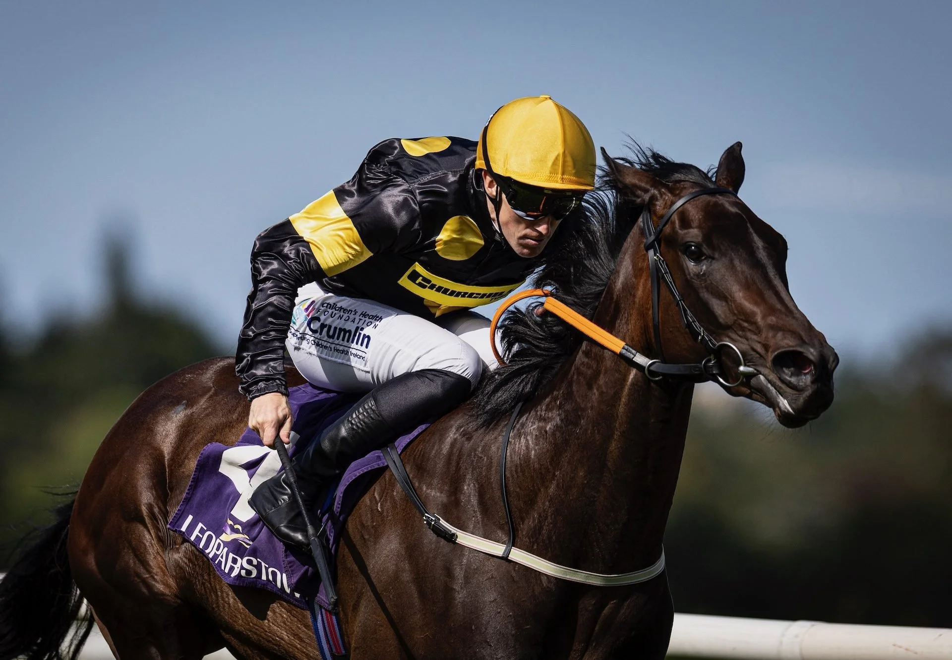 Exciting maiden winners headline busy week