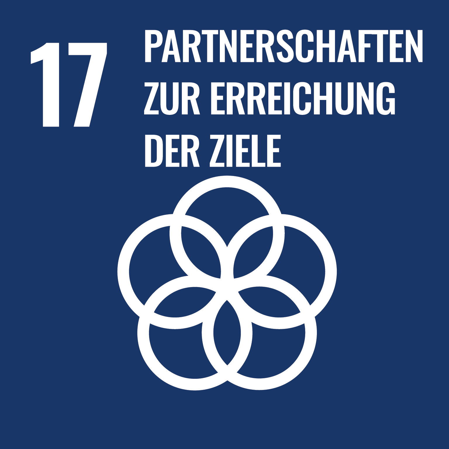SDG_icons_EN-17.png