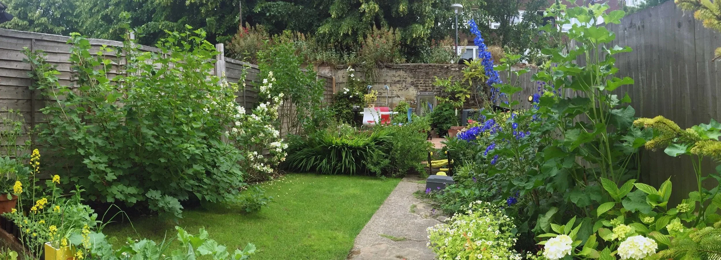 small cottage garden Lewisham