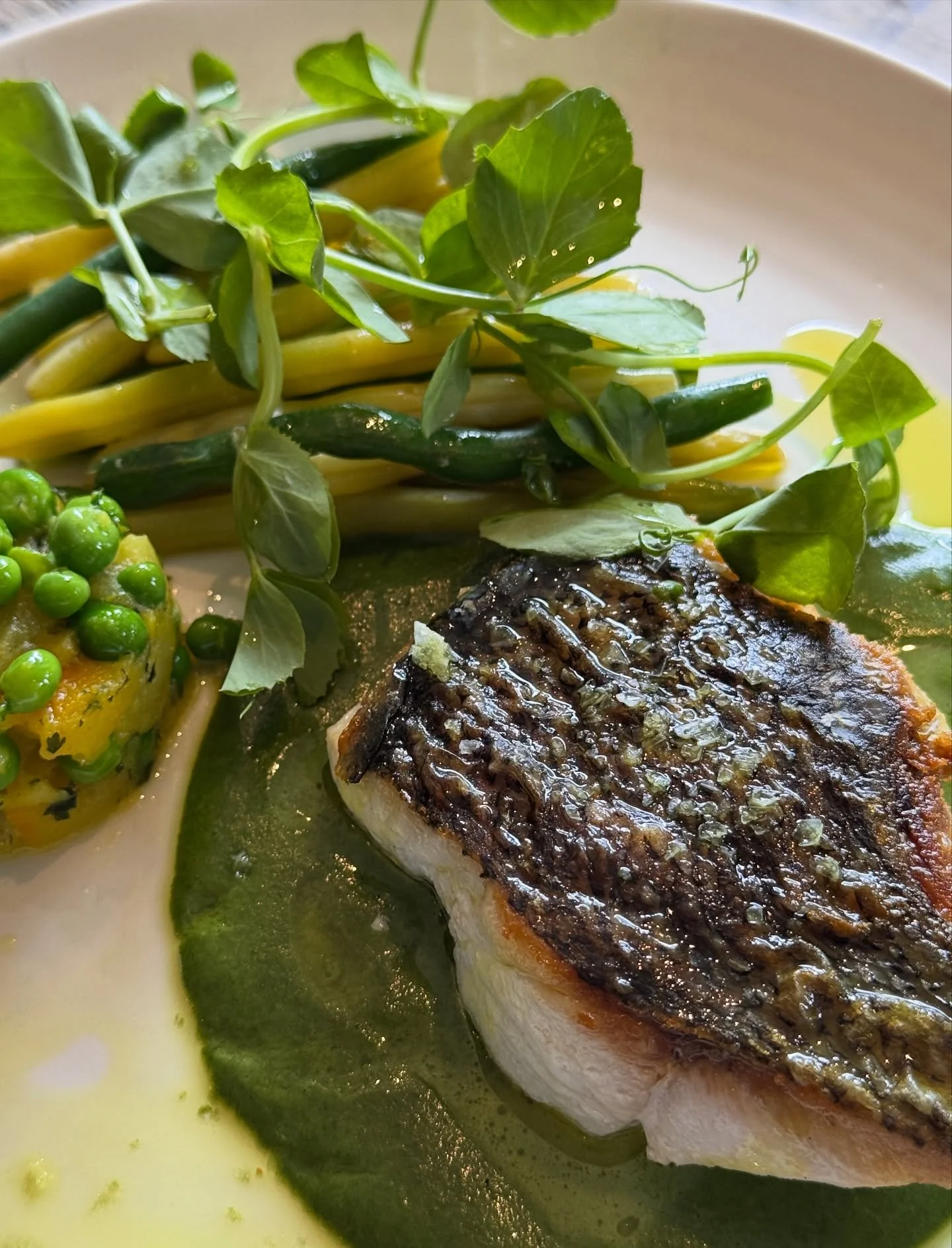 No filter! 🌱✨Pan fried market fish (delivered fresh everyday) with saffron potatoes, spring peas, garden beans &amp; a velvety spinach velout&eacute;. 

Finished with a drizzle of curry oil to give it a warming spicy kick. A beauty of a dish! 💚🧡

