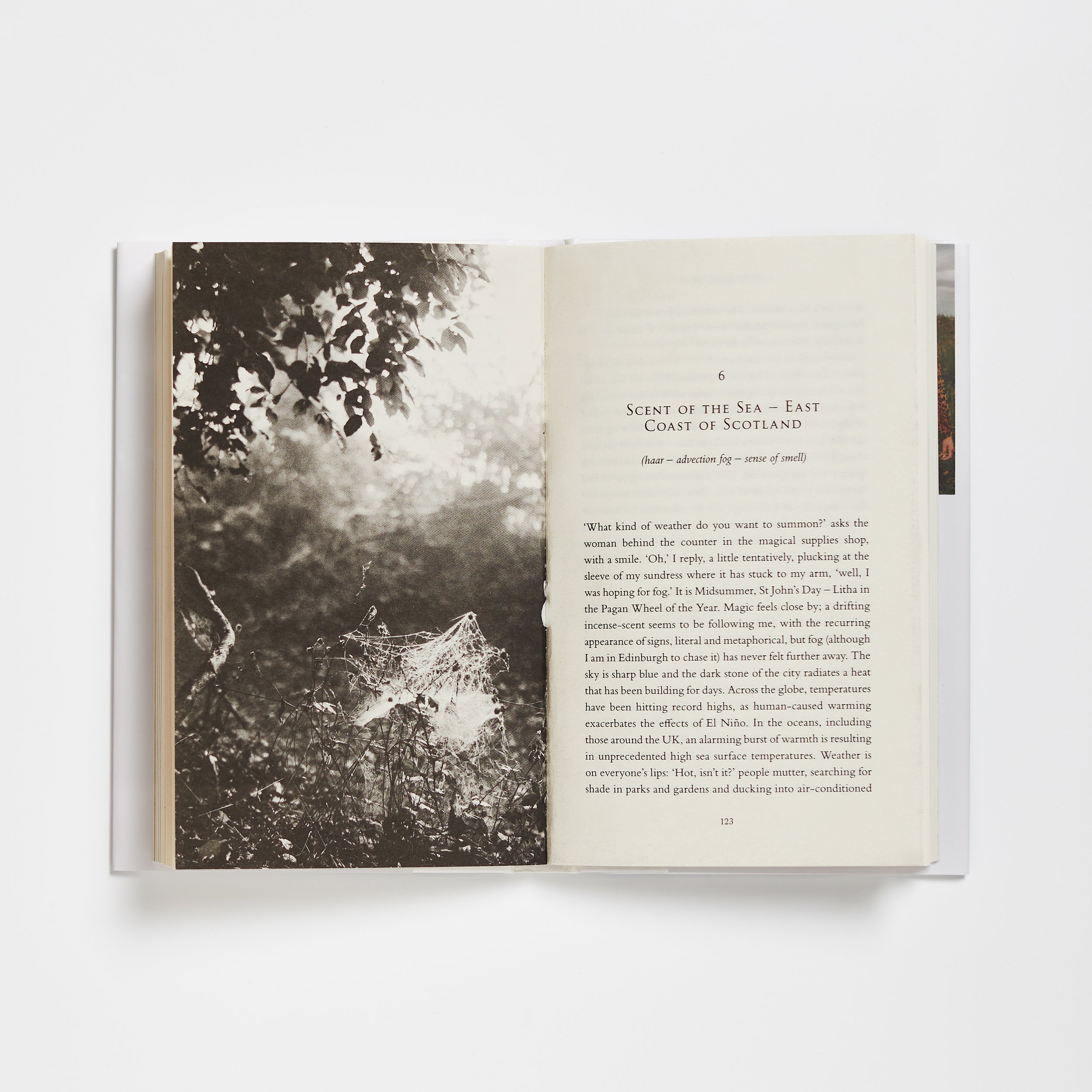 Simon and Schuster-03.jpg