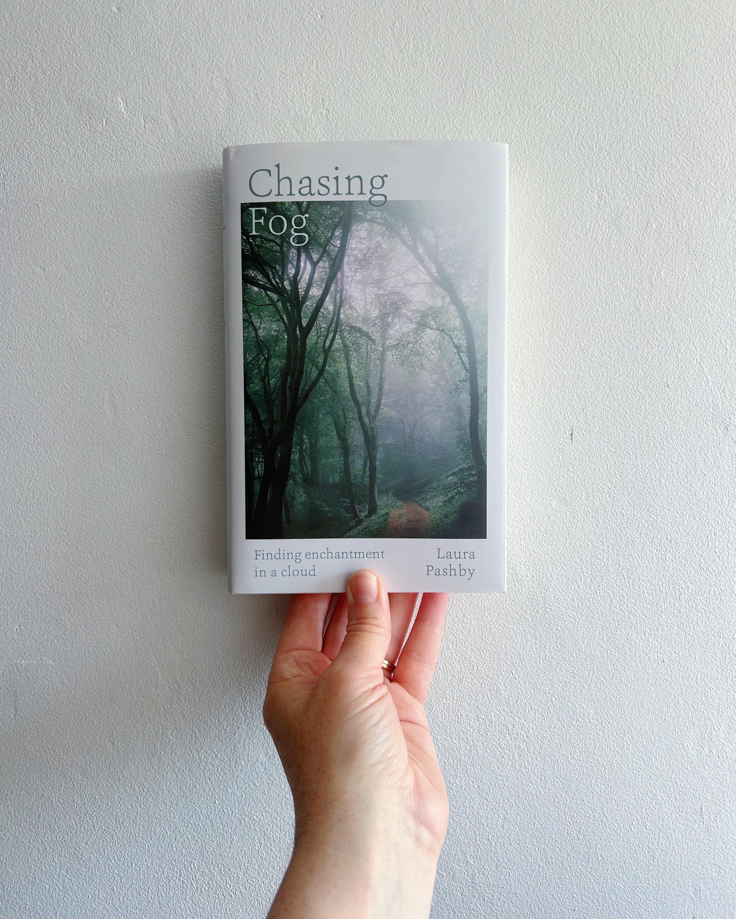 chasingfog1.jpg