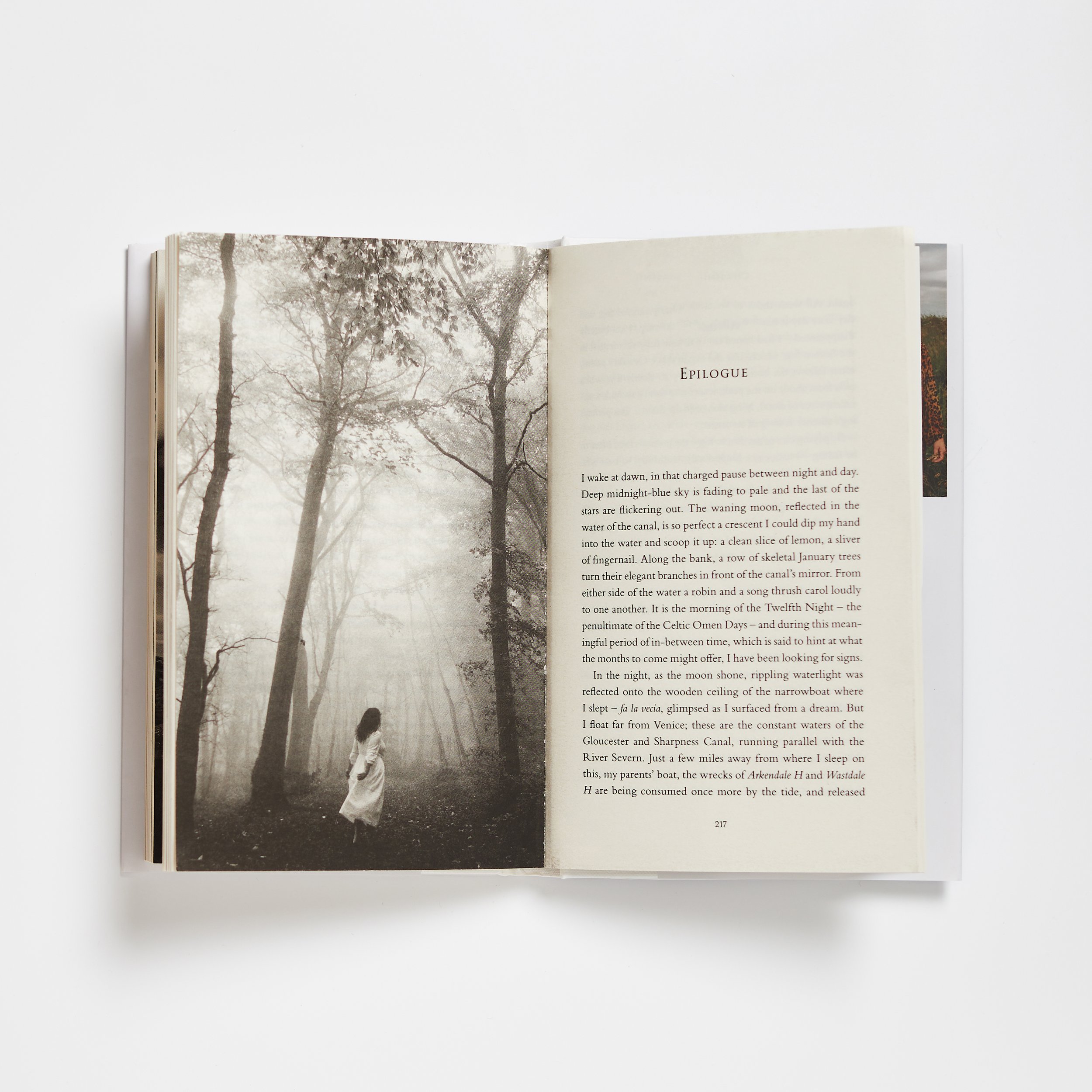 Simon and Schuster-01.jpg