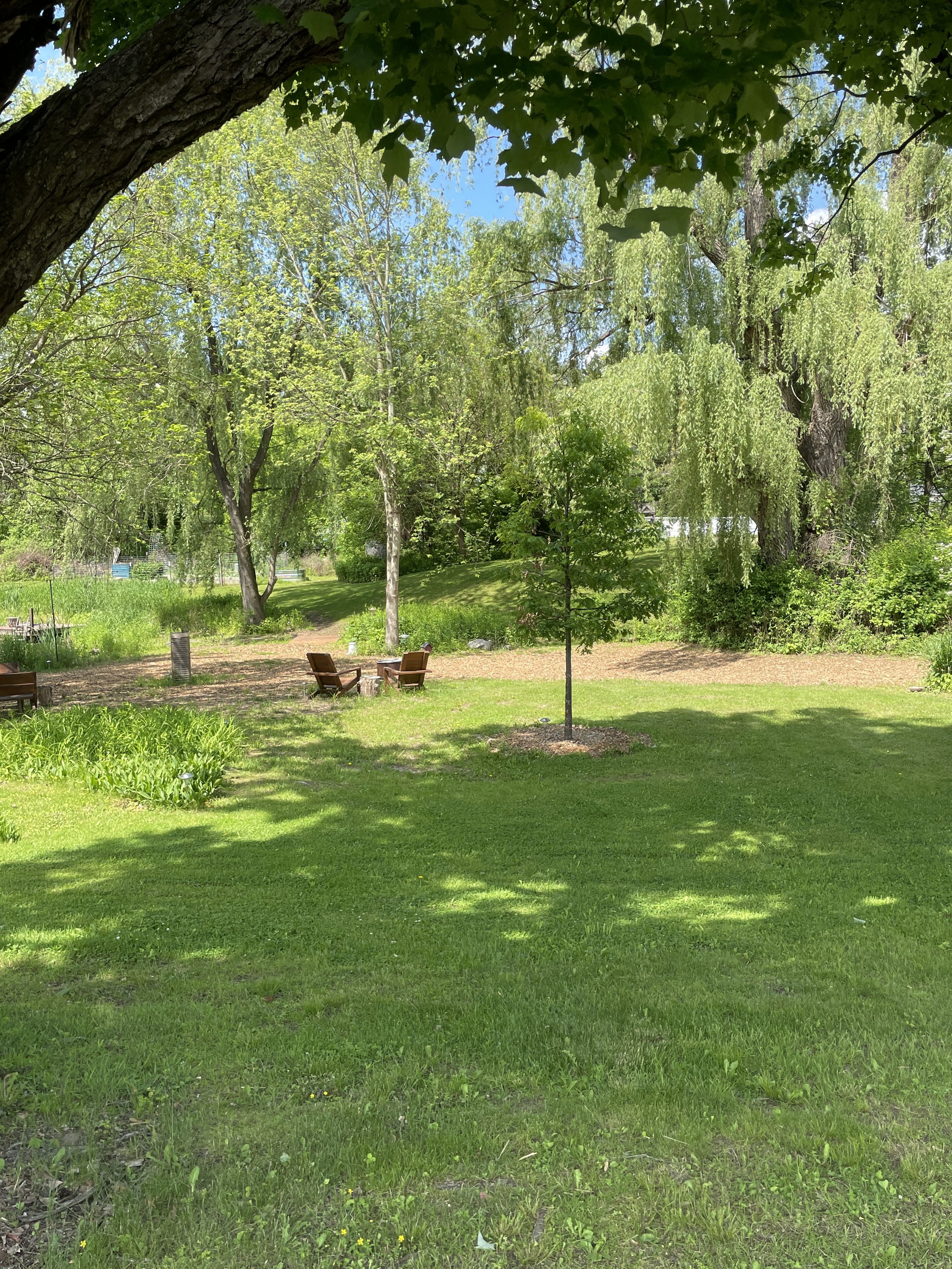 IMG_1684 2.JPG