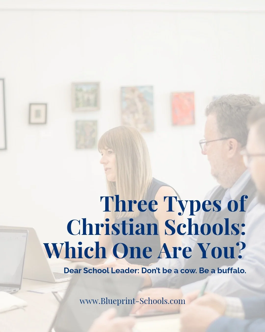 Leaders: what does it look like to be a buffalo at your school? Read our newest release on the Blueprint Blog. 

Link in bio.

#blueprintblog #educationalleadership #schoolleadership #buffalo