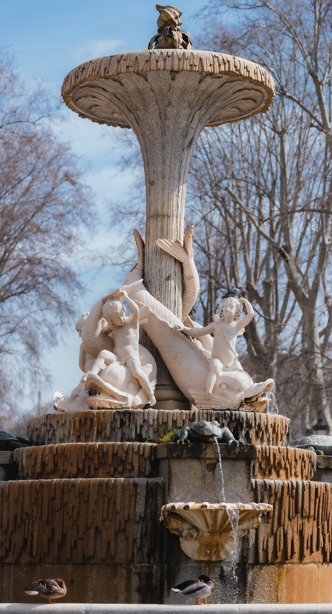 Close-up of the Fuente de la Alcachofa in El Retiro Park, Madrid, with carved cherubs, dolphins and ducks perched on the basin