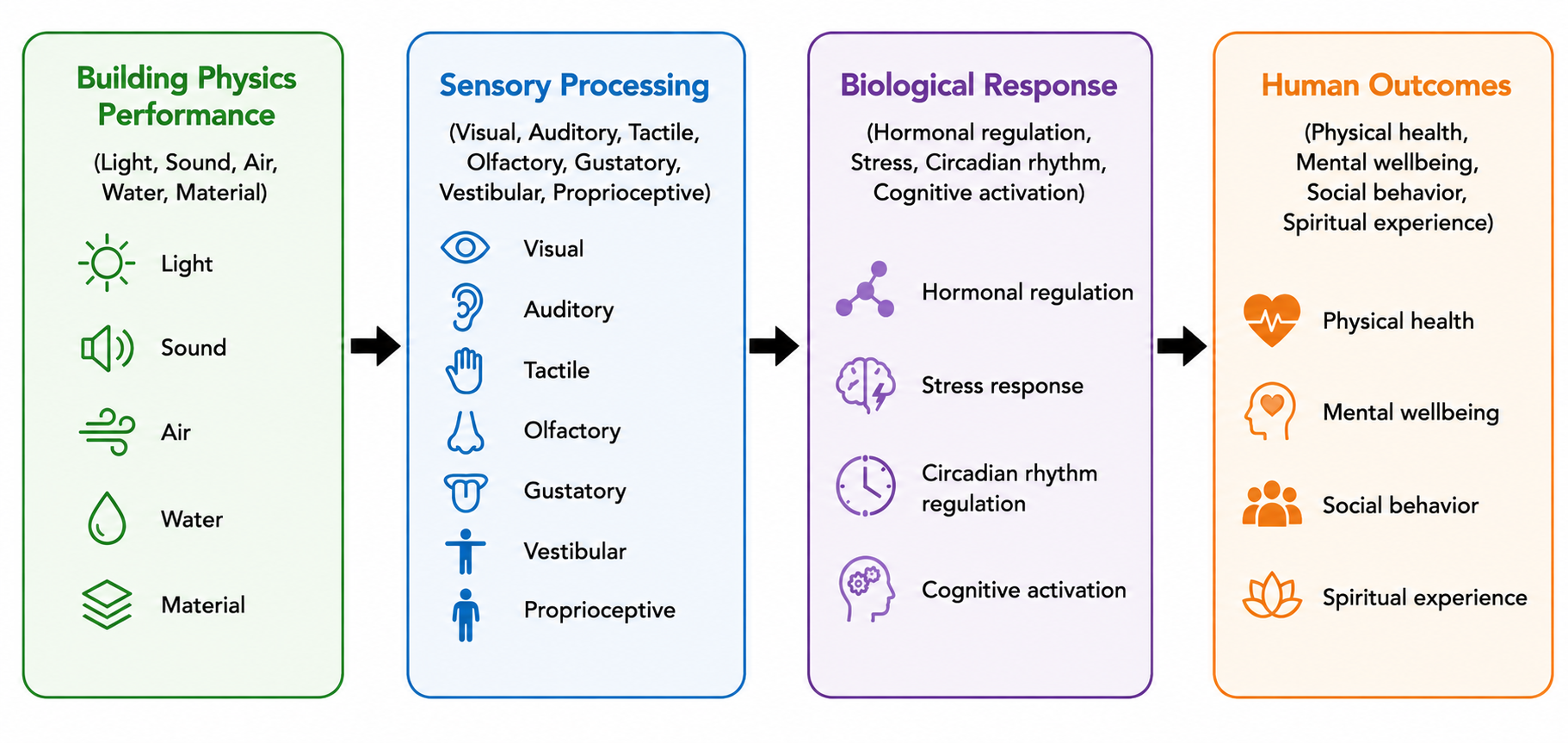 Diagram showing the connection between building physics performance, sensory processing, biological response, and human outcomes. Building physics includes light, sound, air, water, and material. Sensory processing includes visual, auditory, tactile, olfactory, gustatory, vestibular, and proprioceptive senses. Biological response covers hormonal regulation, stress, circadian rhythm, and cognitive activation. Human outcomes include physical health, mental wellbeing, social behavior, and spiritual experience.