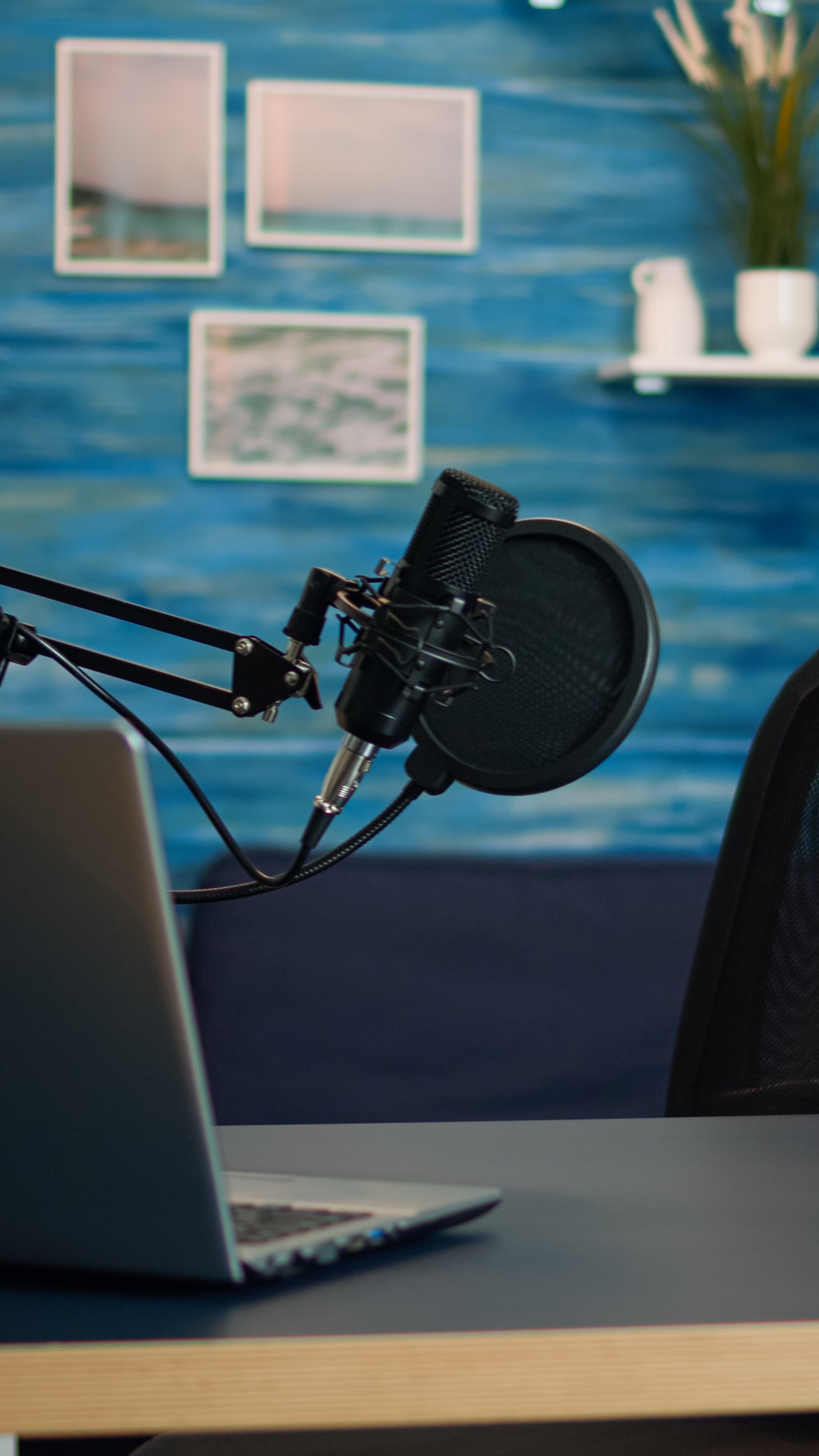 A microphone attached to a boom arm positioned in front of a laptop on a desk, with framed pictures on a blue wooden wall in the background, and a potted plant on a shelf.