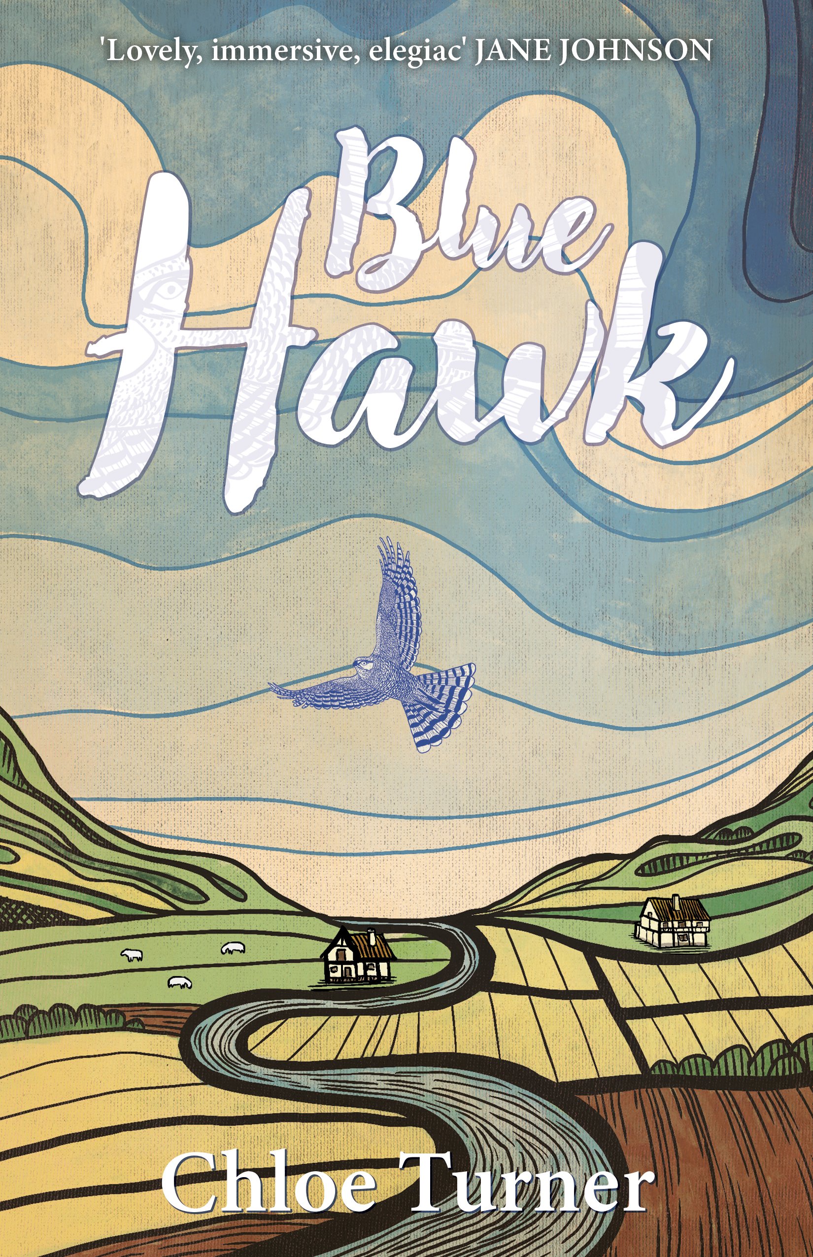 Blue_hawk_front_cover.jpg