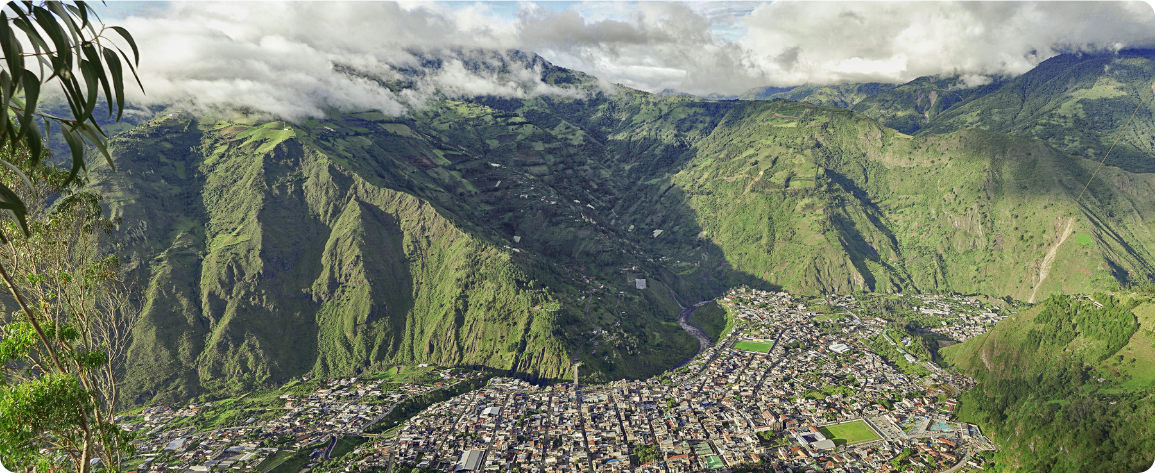  Rainforest in Baños, Ecuador. Photo credit: Andrés Medina.  