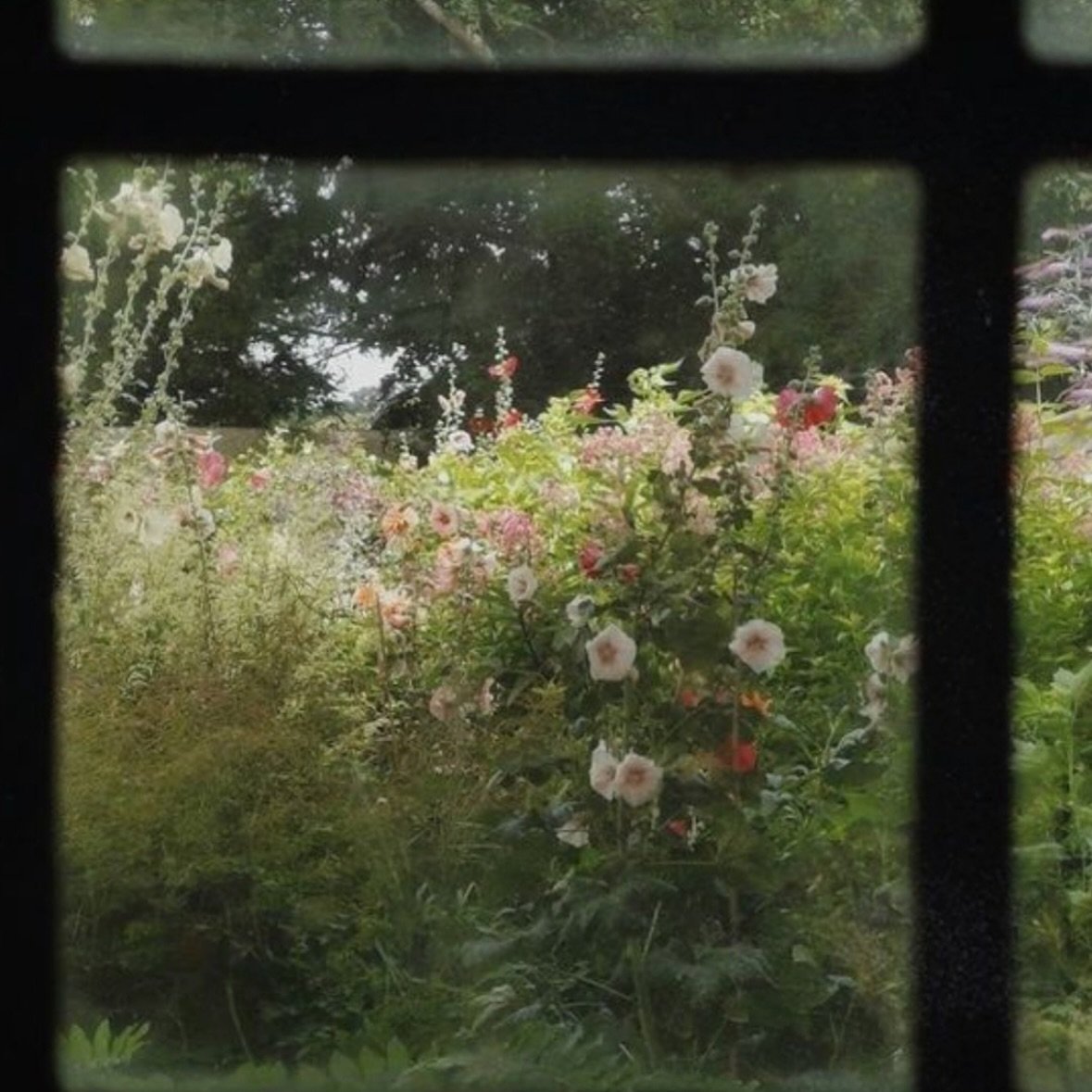 secret garden 🌱 

Via @thequietbotanist