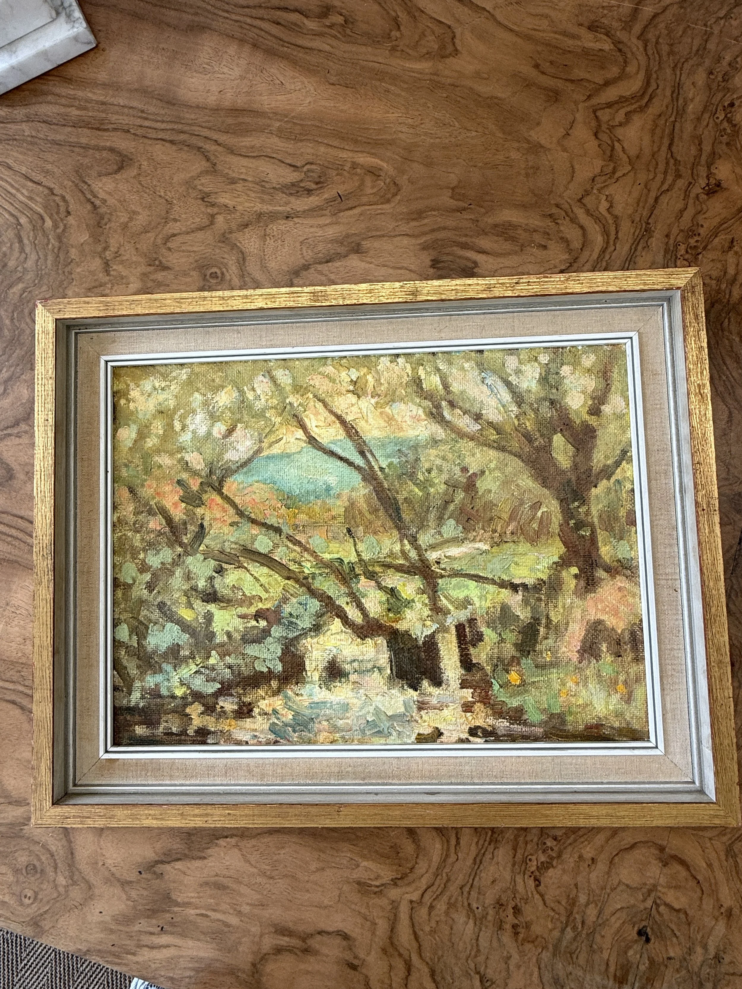 IMG_2041.jpeg