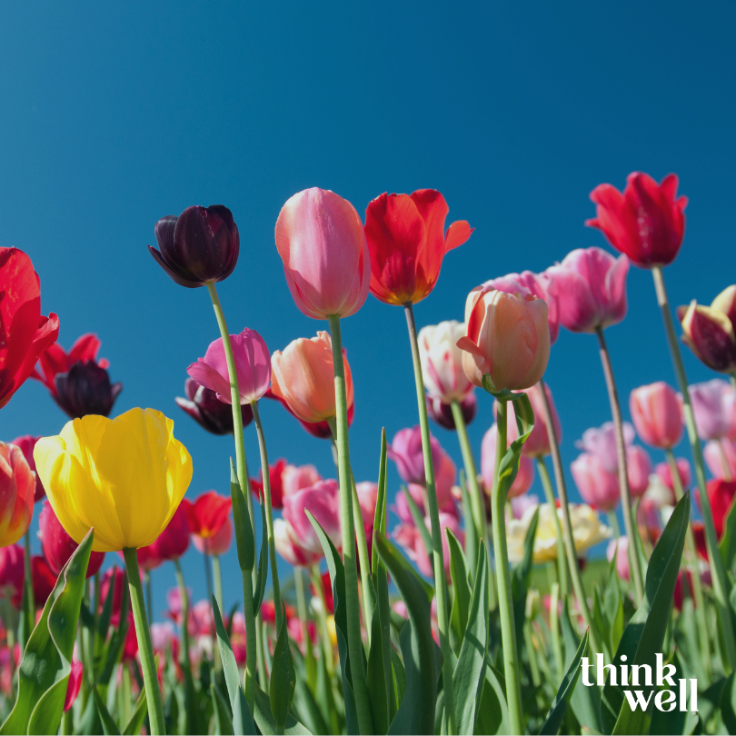 Spring Clean Your Mind-Reducing Cognitive Overload