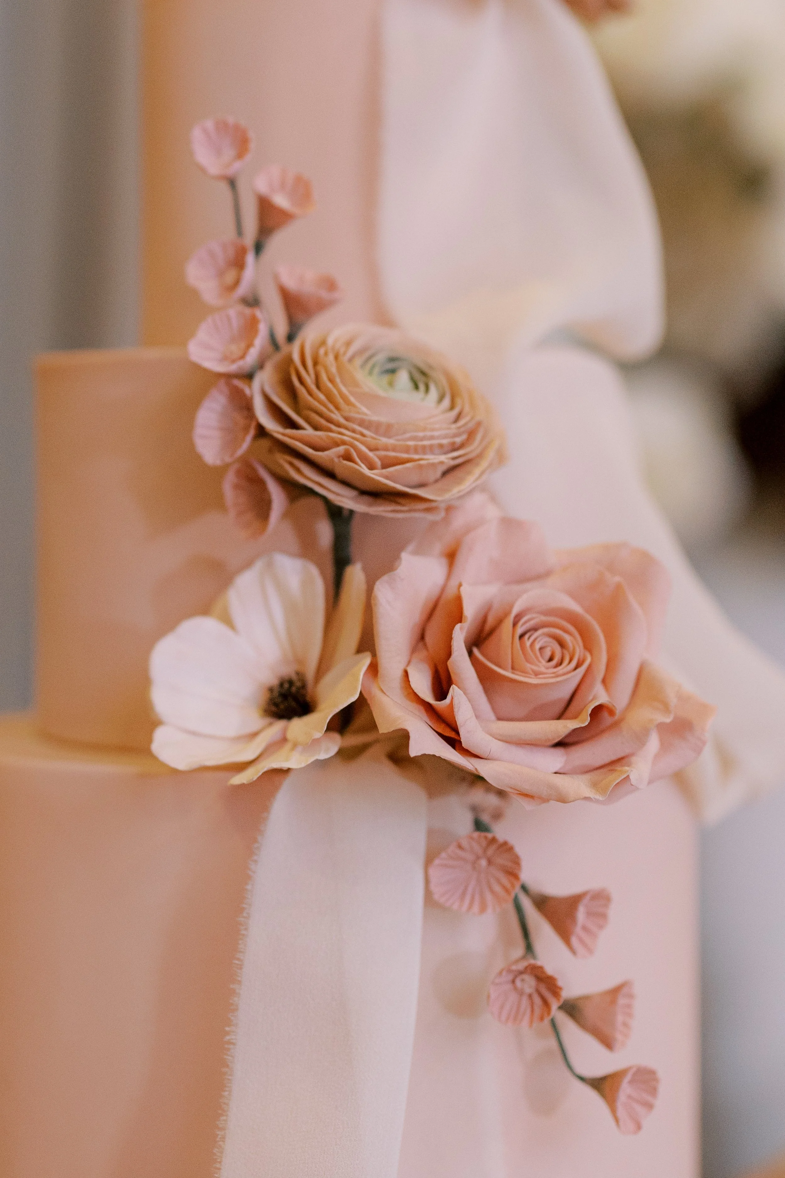 danielle-cargill-photography-rose-toronto-0945.jpeg