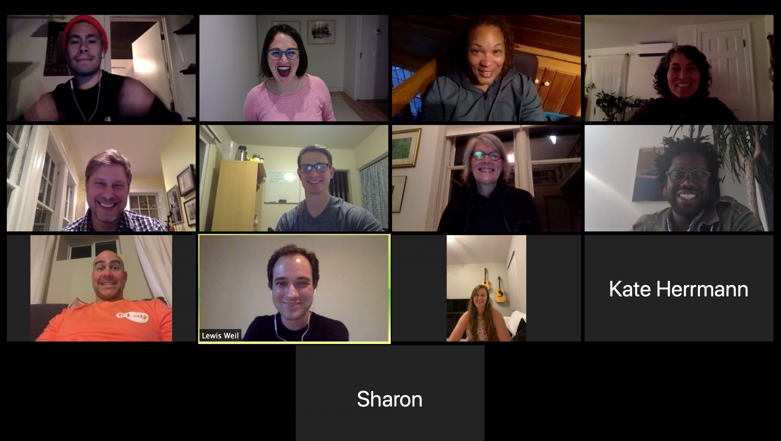 A group video call with nine participants in a grid layout, including a few with cameras off displaying names.