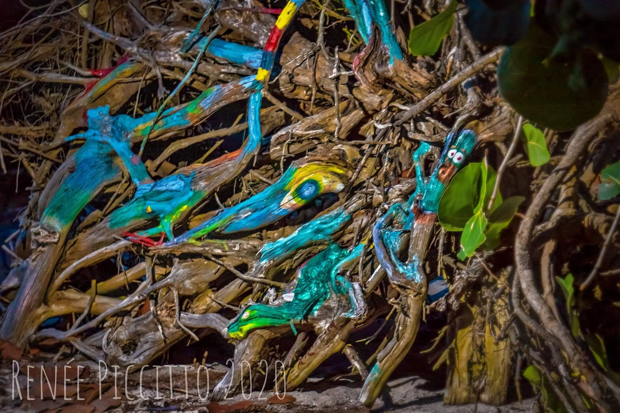 Piccitto Music And Media And Martin Orchestral Society Piccitto Music And Media And Martin Orchestral Society